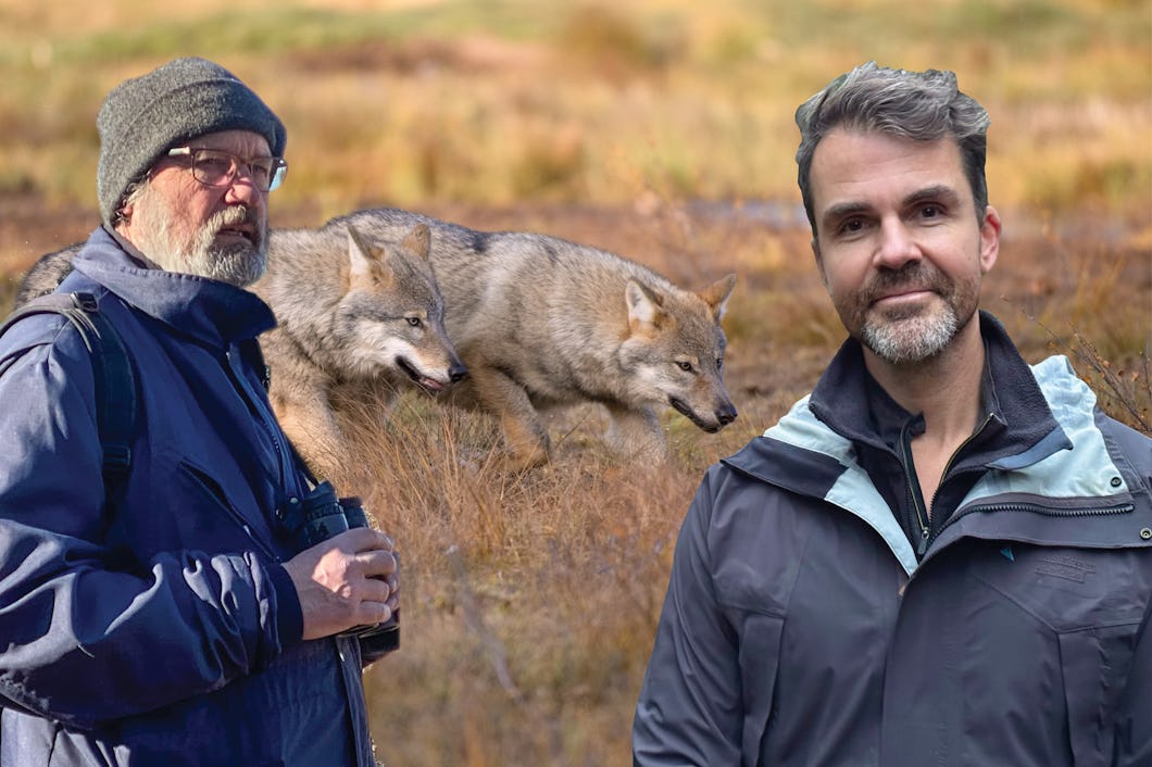 Per Axell och Misha Istratov inklippta i bild av vargar.
