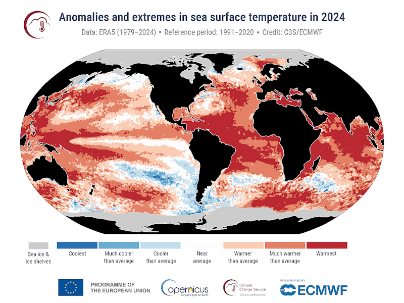 Årets extrema temperaturer i havsytan. Den mörkaste röda innebär värmerekord. Den näst mörkaste visar "mycket varmare än normalt".