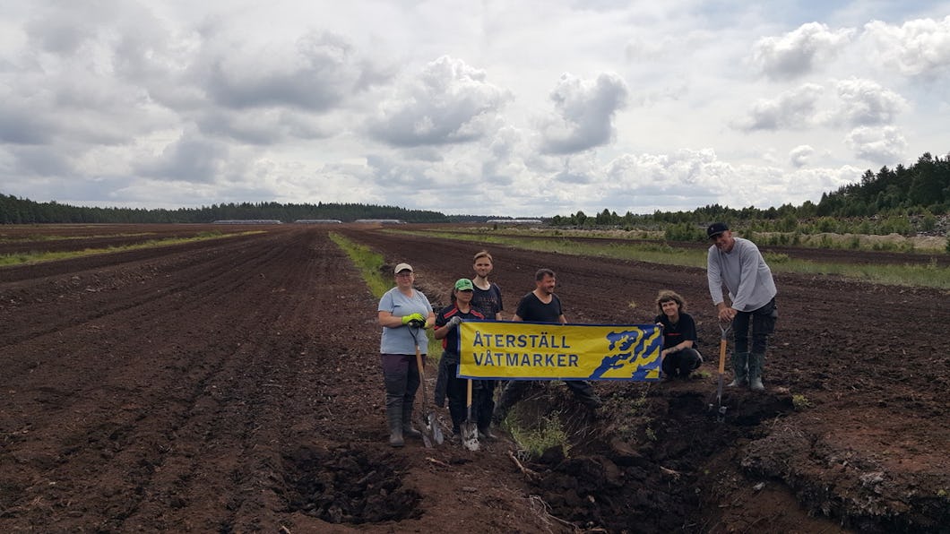 Återställ våtmarker i Ekebymossen.