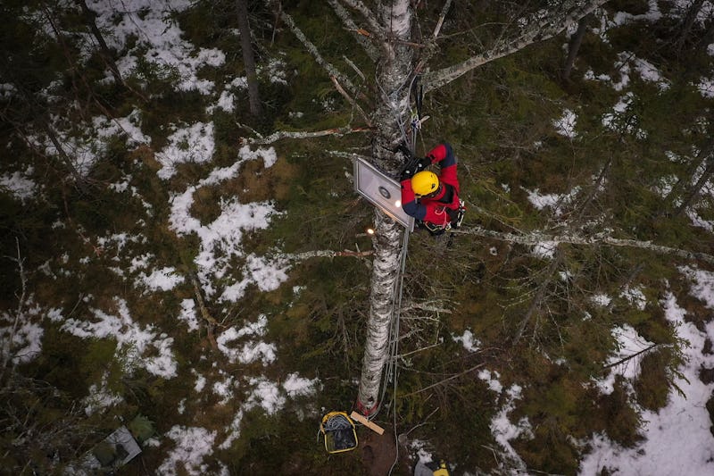 Tavla som hängs upp av Greenpeace-aktivist.