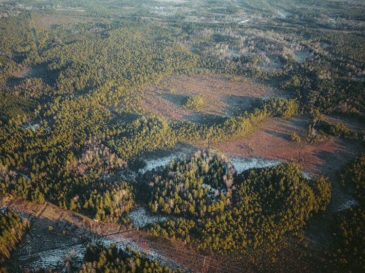 Drönarfoto över Blackatorpsmossen.
