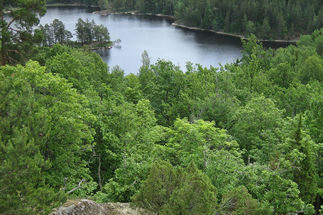 Borgberget.