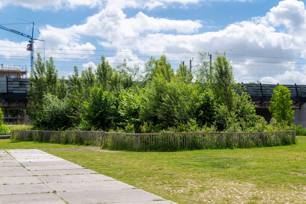 Blandskog.