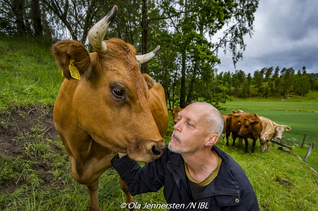 Claes Hellsten.