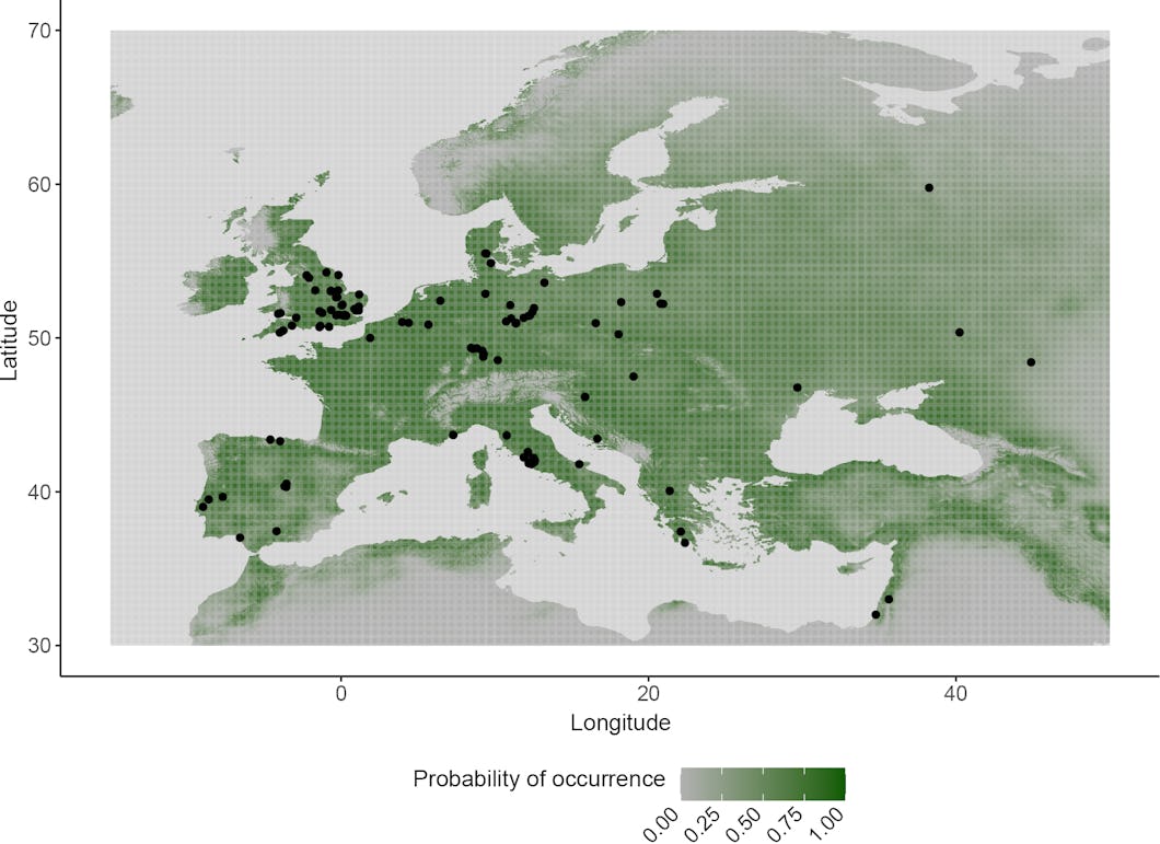 Nuvarande potentiell utbredning av Palaeoloxodon antiquus i Europa. Färgen anger sannolikheten för förekomst, där grått indikerar ”mycket osannolikt” och mörkgrönt ”mycket sannolikt”. De svarta prickarna markerar de fossila fynd som förutsägelsen baseras på.