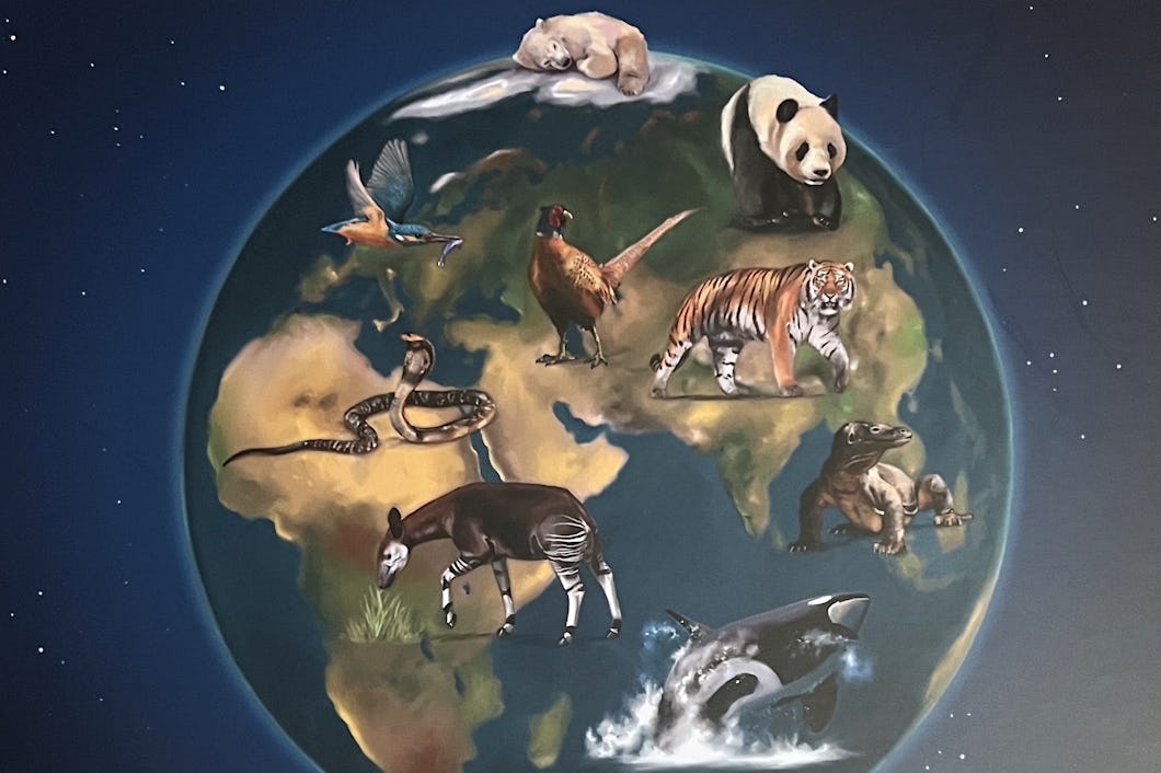 Del av omslaget till brädspelet Fauna.