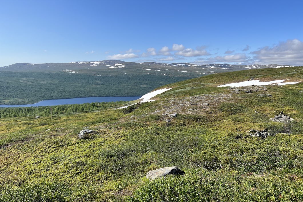 Fjällen vid Ammarnäs.