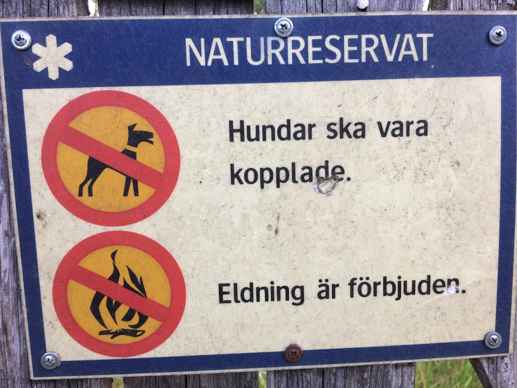 En skylt i ett naturreservat visar att hundar måste vara kopplade och att eldning inte är tillåten, med text på svenska som bekräftar dessa regler.