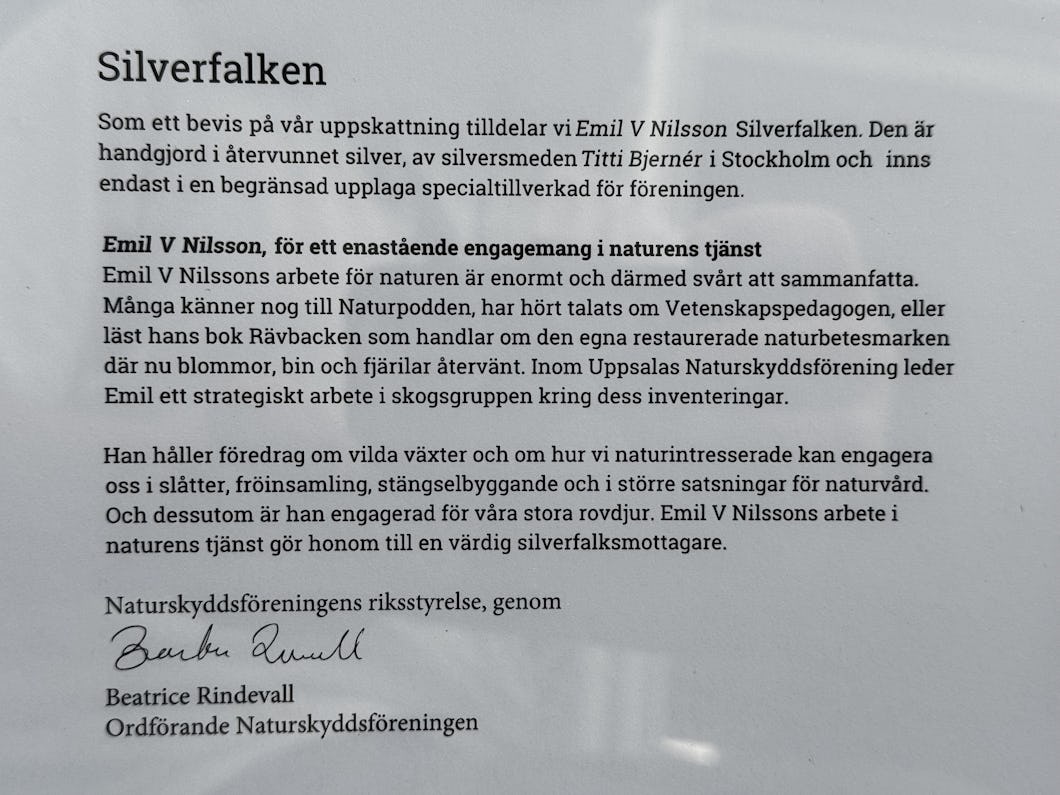 Motiveringen till Silverfalken 2025.
