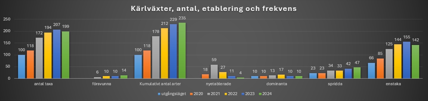 Kärlväxternas utveckling i området. Tommy tror att de kommer etablera sig runt 200 arter ungefär, vilket är en fördubbling jämfört med innan han började jobba i ängen. Anledningen till att det är färre arter 2024 jämfört med 2023 är att vissa arter naturligt konkurreras ut när det görs sådana här skötselåtgärder.