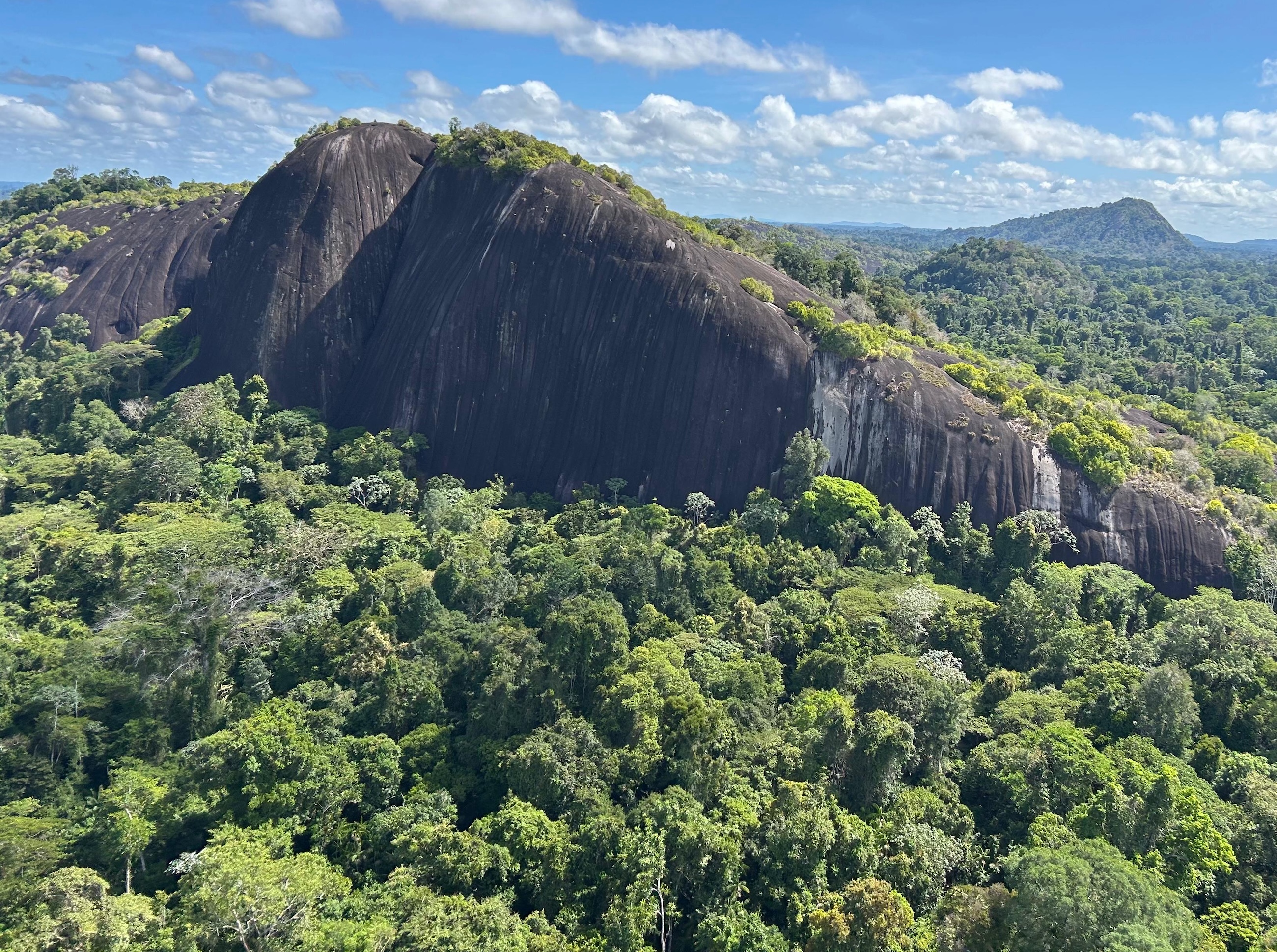 Surinams regnskogar täcker 93 procent av landet.