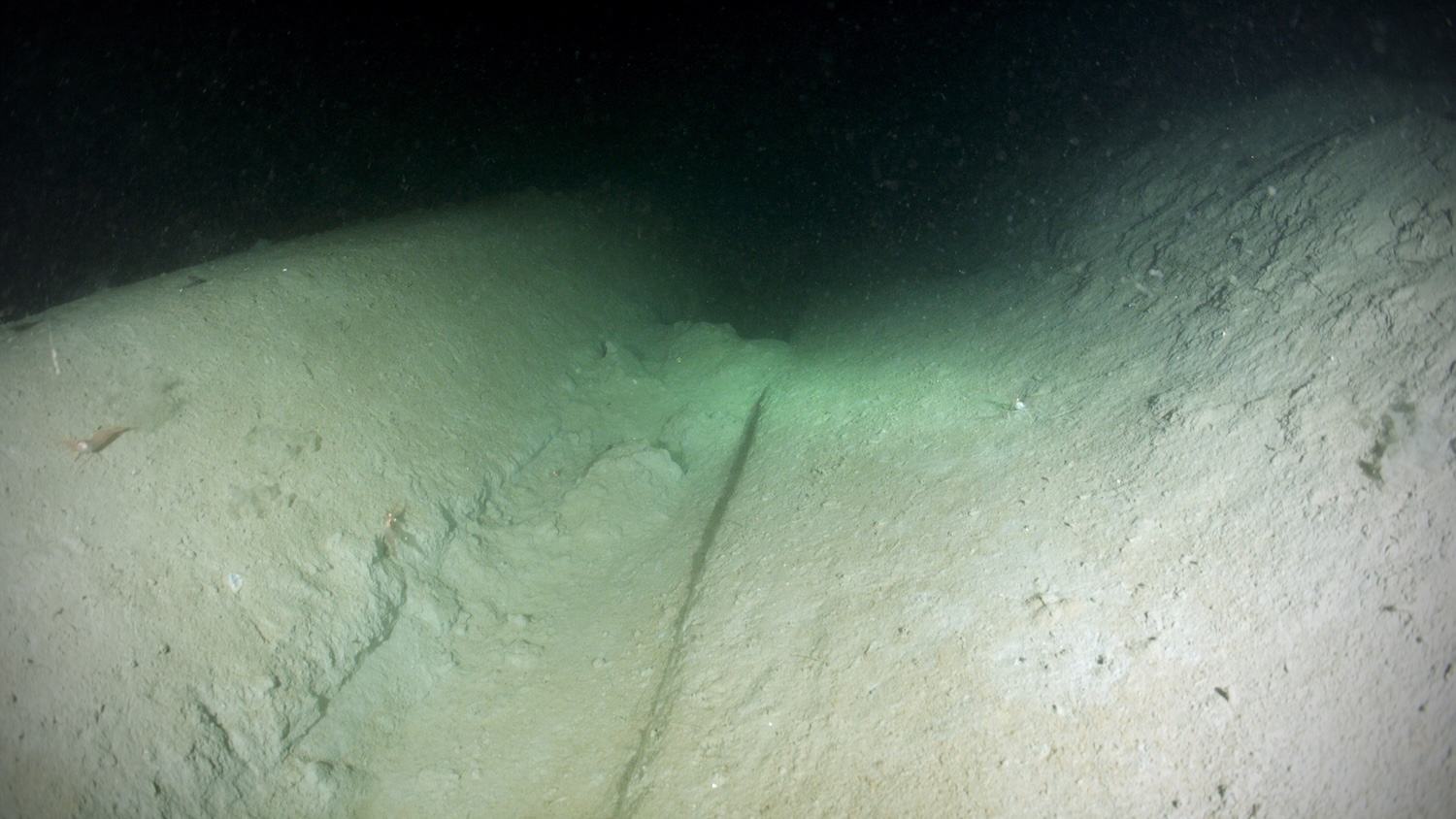 Gullmarsfjorden under ytan.
