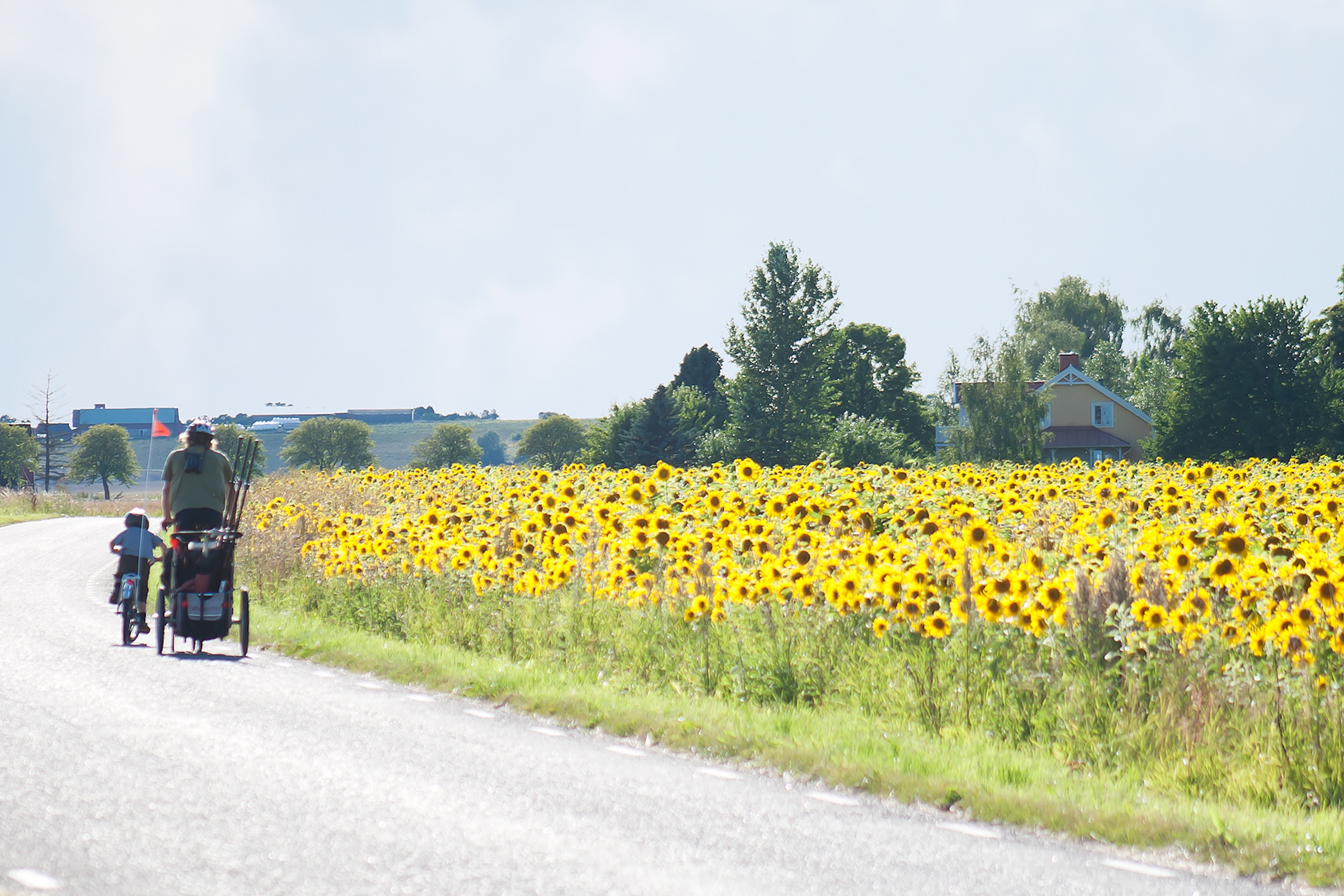 Jan Wester har i många år cyklat dagligen längs ekologiska och konventionella odlingar. För honom har skillnaden varit tydlig.