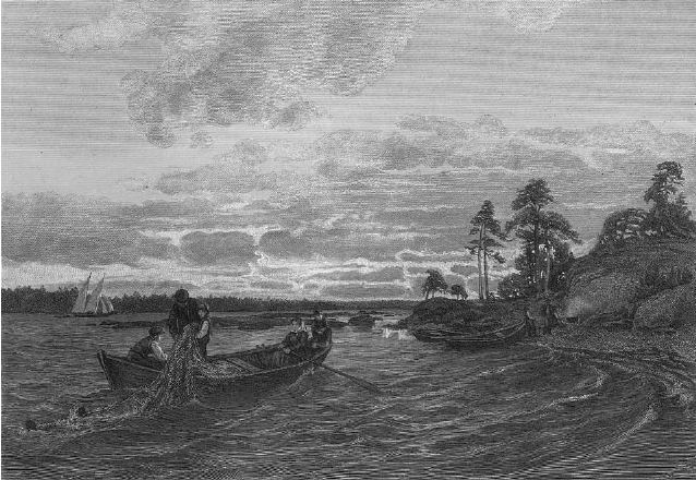 Strömmingsfiske i den finska skärgården på 1800-talet.
