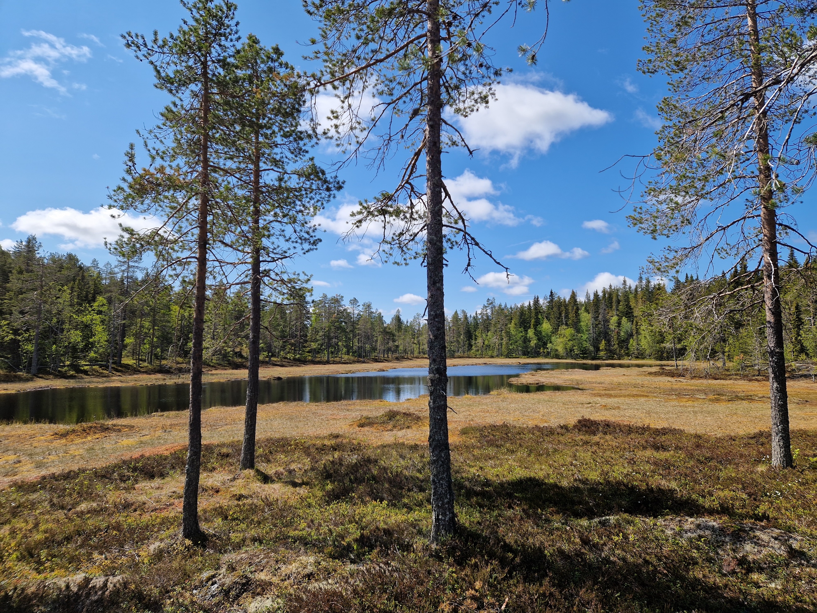 Balbergets naturreservat
