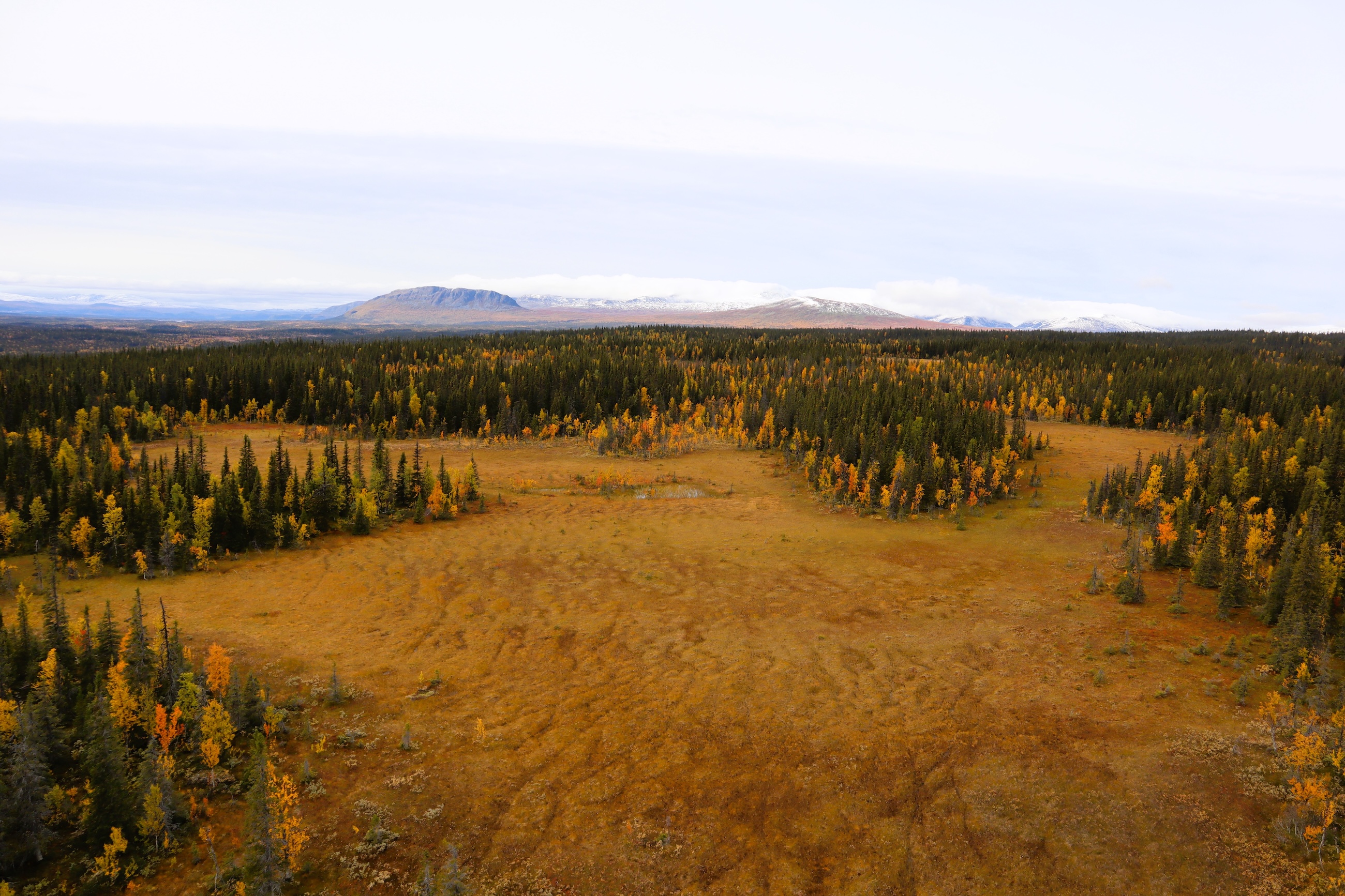 Blaikliden, en del av utökningen av Marsfjällets naturreservat