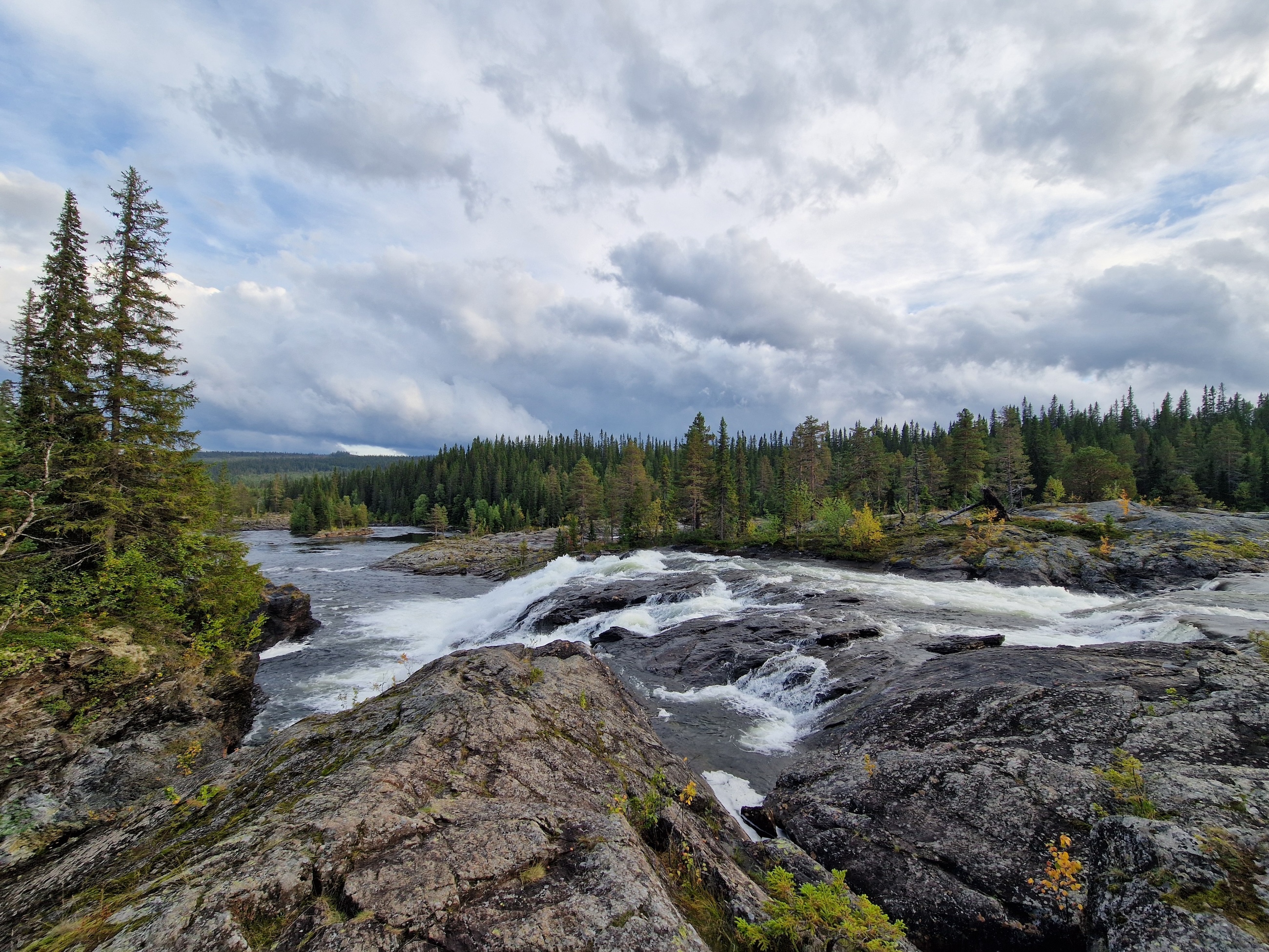 Kultsjöåns naturreservat