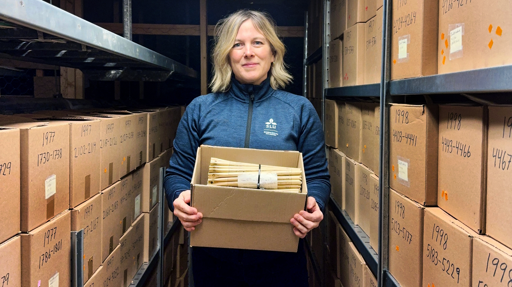 Kelley Bassett i borrkärnsarkivet vid Skogsfakulteten på SLU.