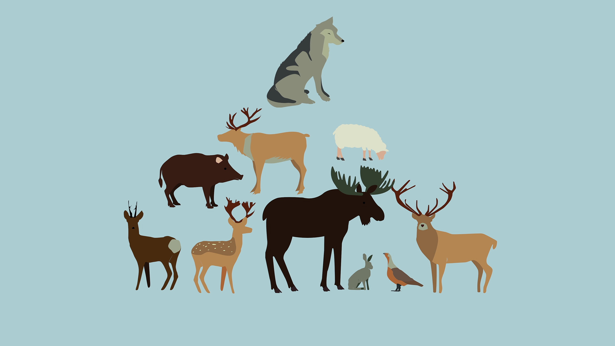 Vargen och dess bytesdjur.