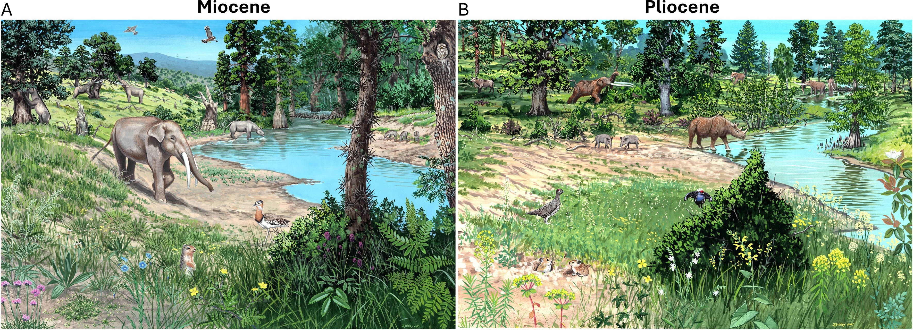 Europa mellan 23 och 3 miljoner år sedan.