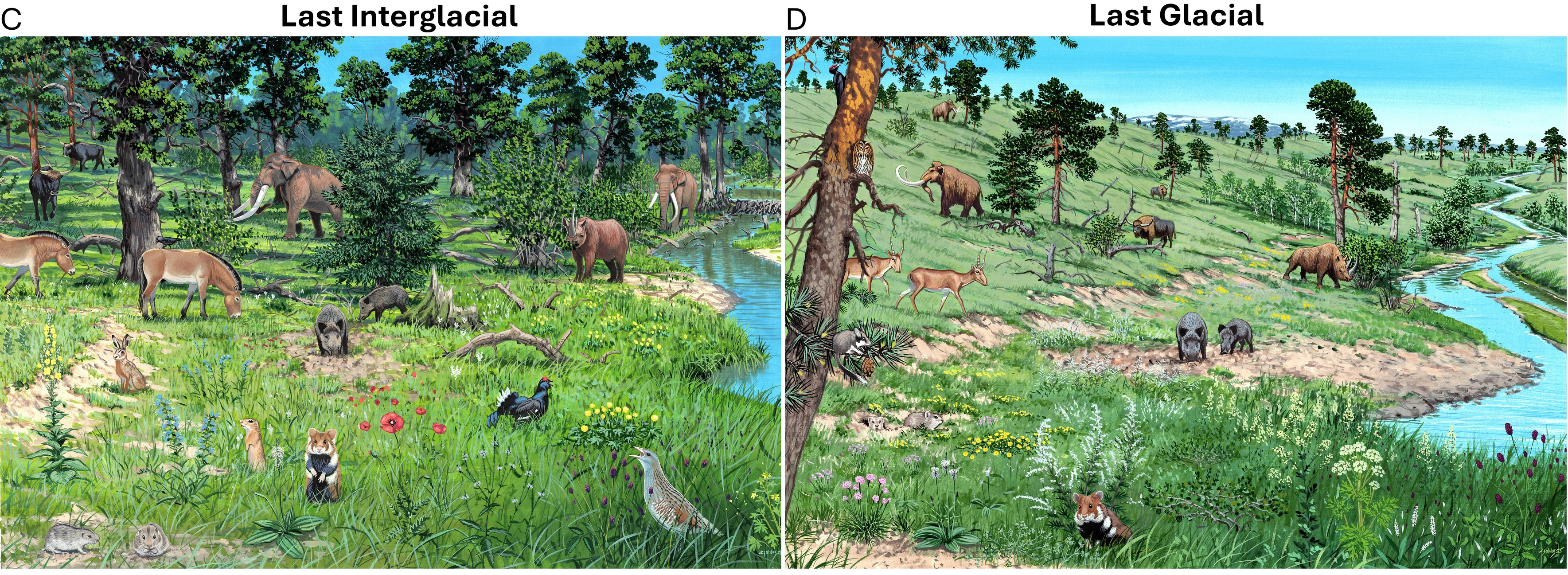 Europas landskap för drygt 100 000 till drygt 10 000 år sedan.