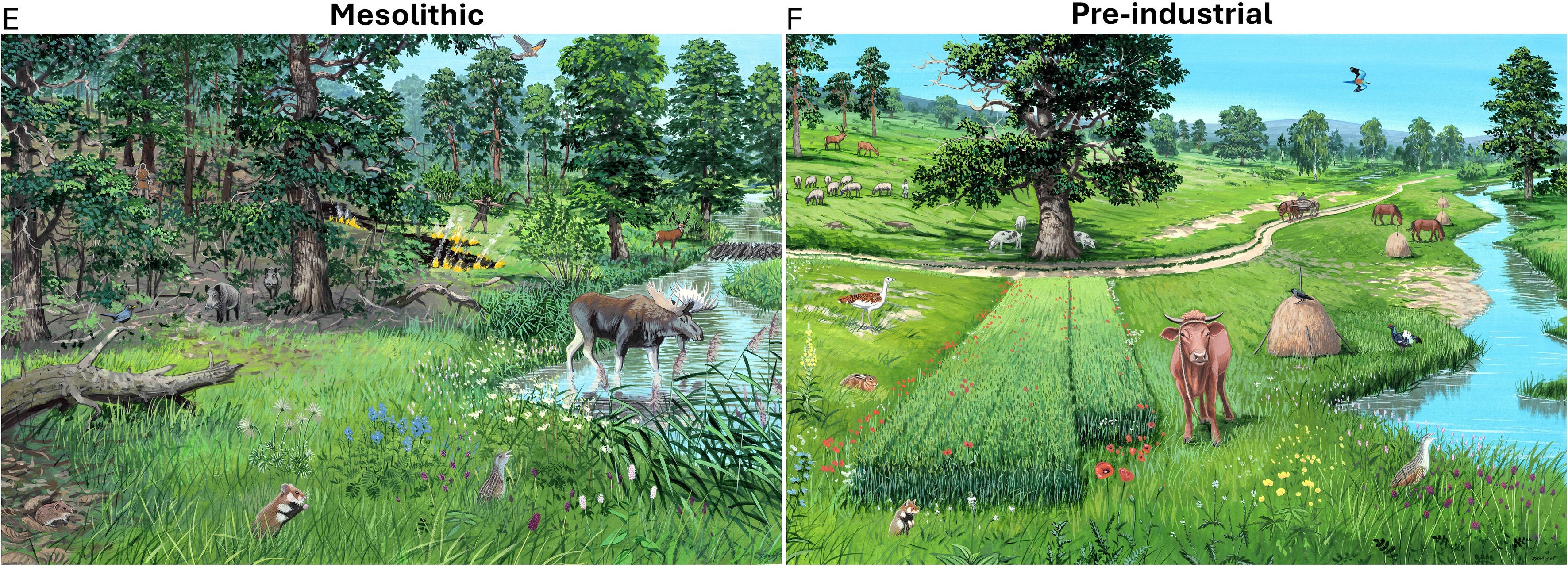 10 000 år sedan fram till Medeltiden.