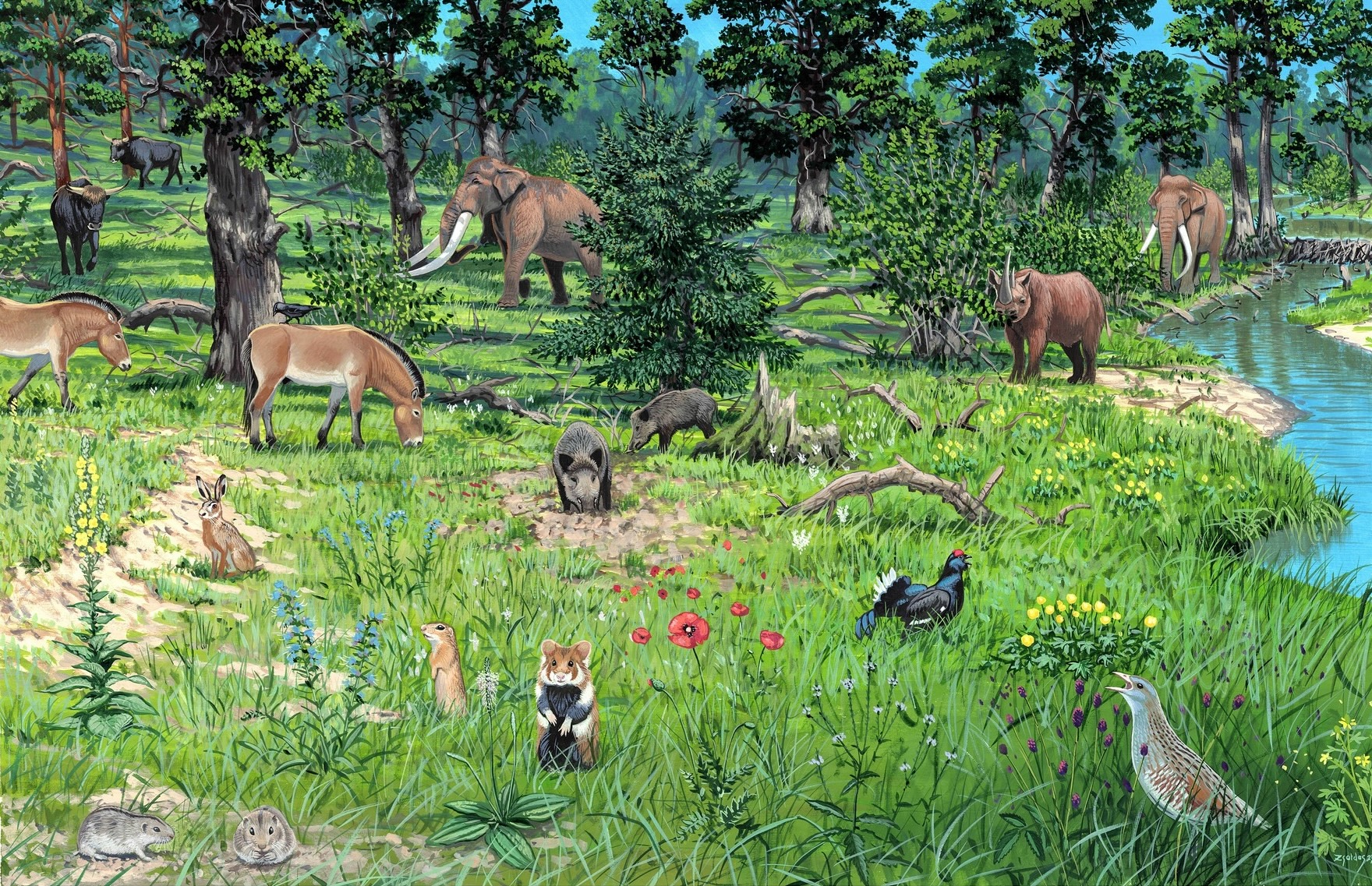 Europas landskap under olika tidsperioder.