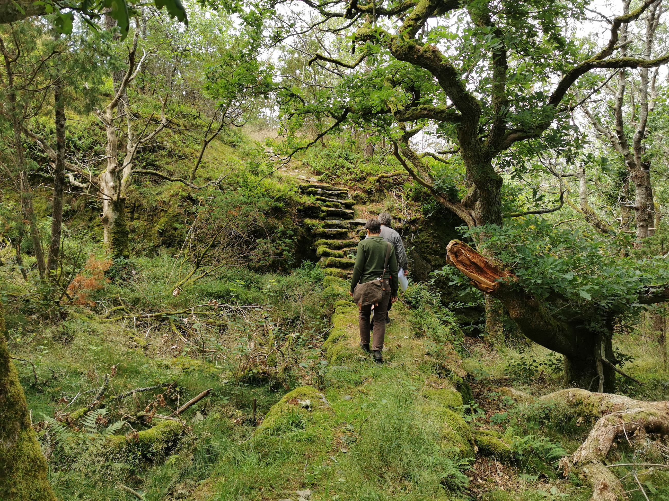 Tjolöholm – den gamla trappan till utsikten.