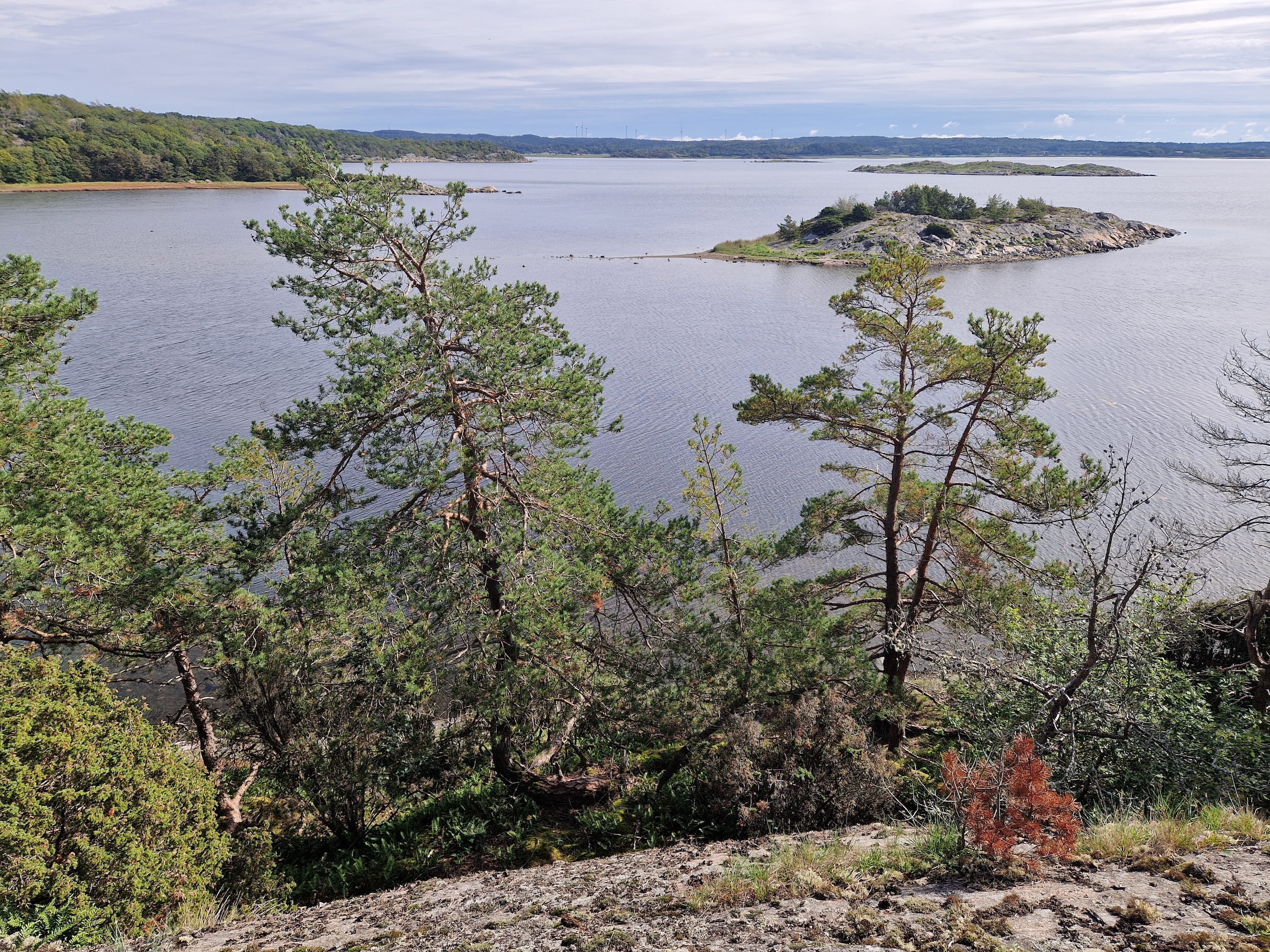 Utsikt över Tjolöholm.