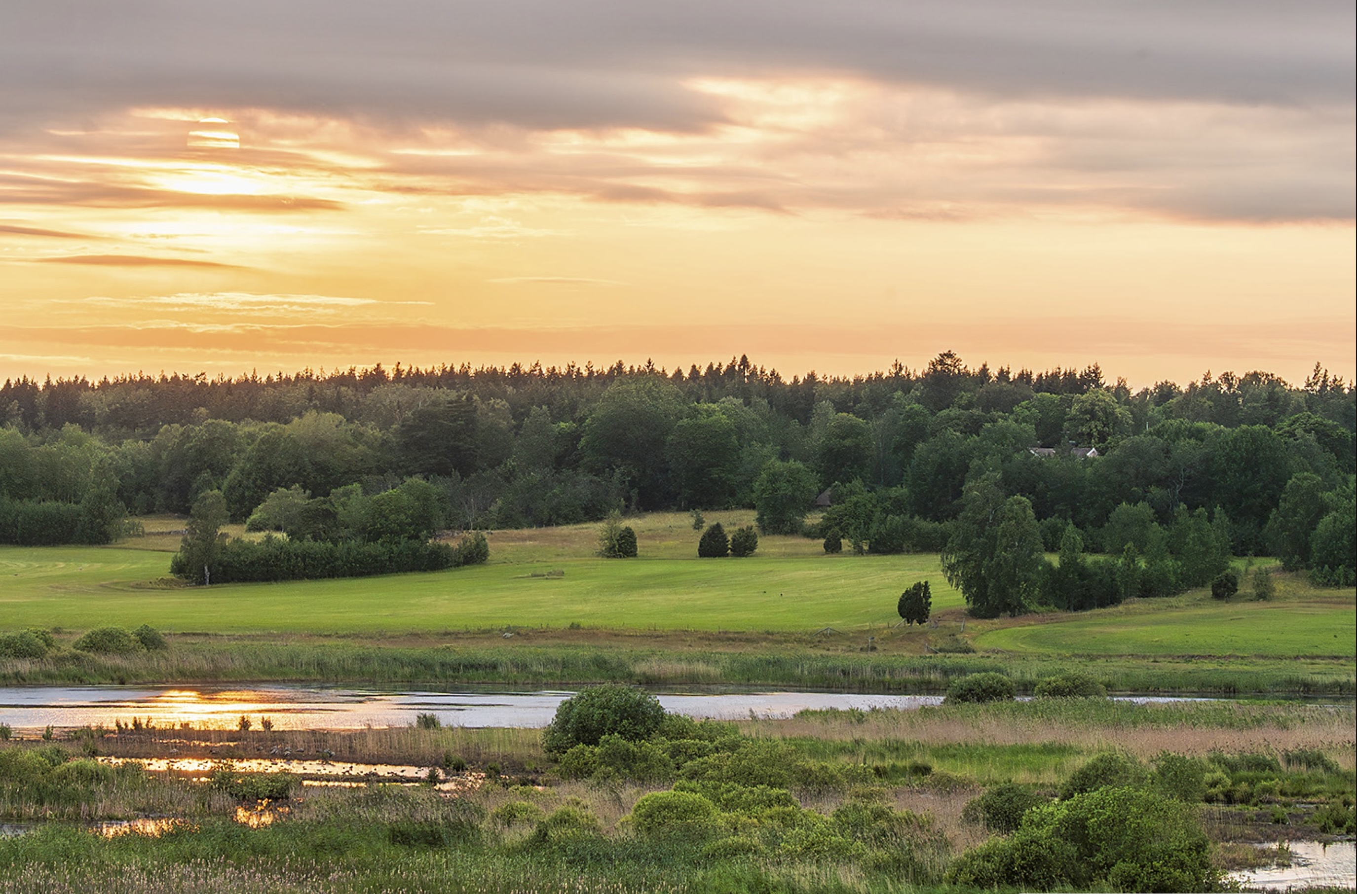 Vy från Midsommarberget, Angarnssjöängen.