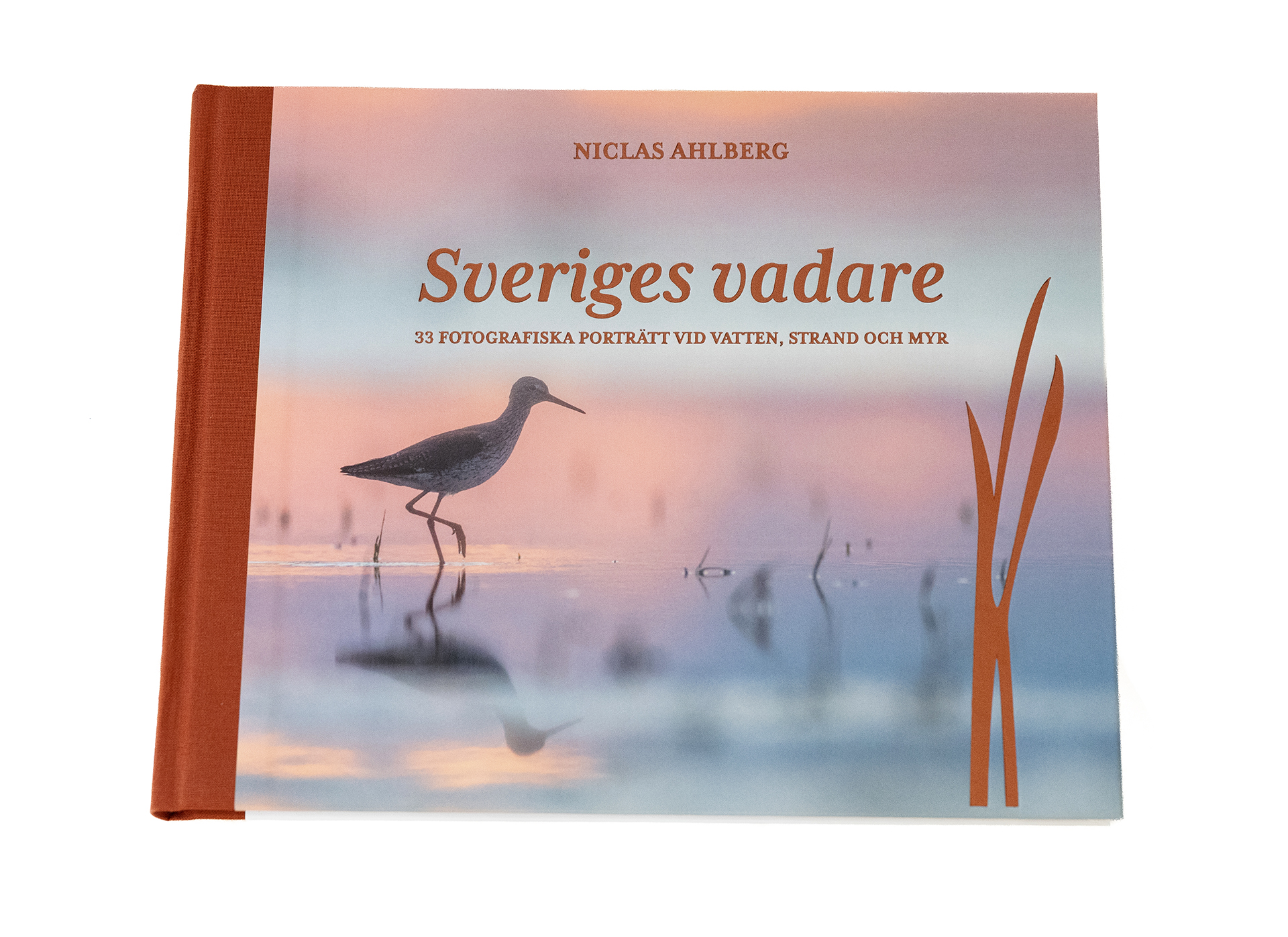 Omslaget till "Sveriges vadare".