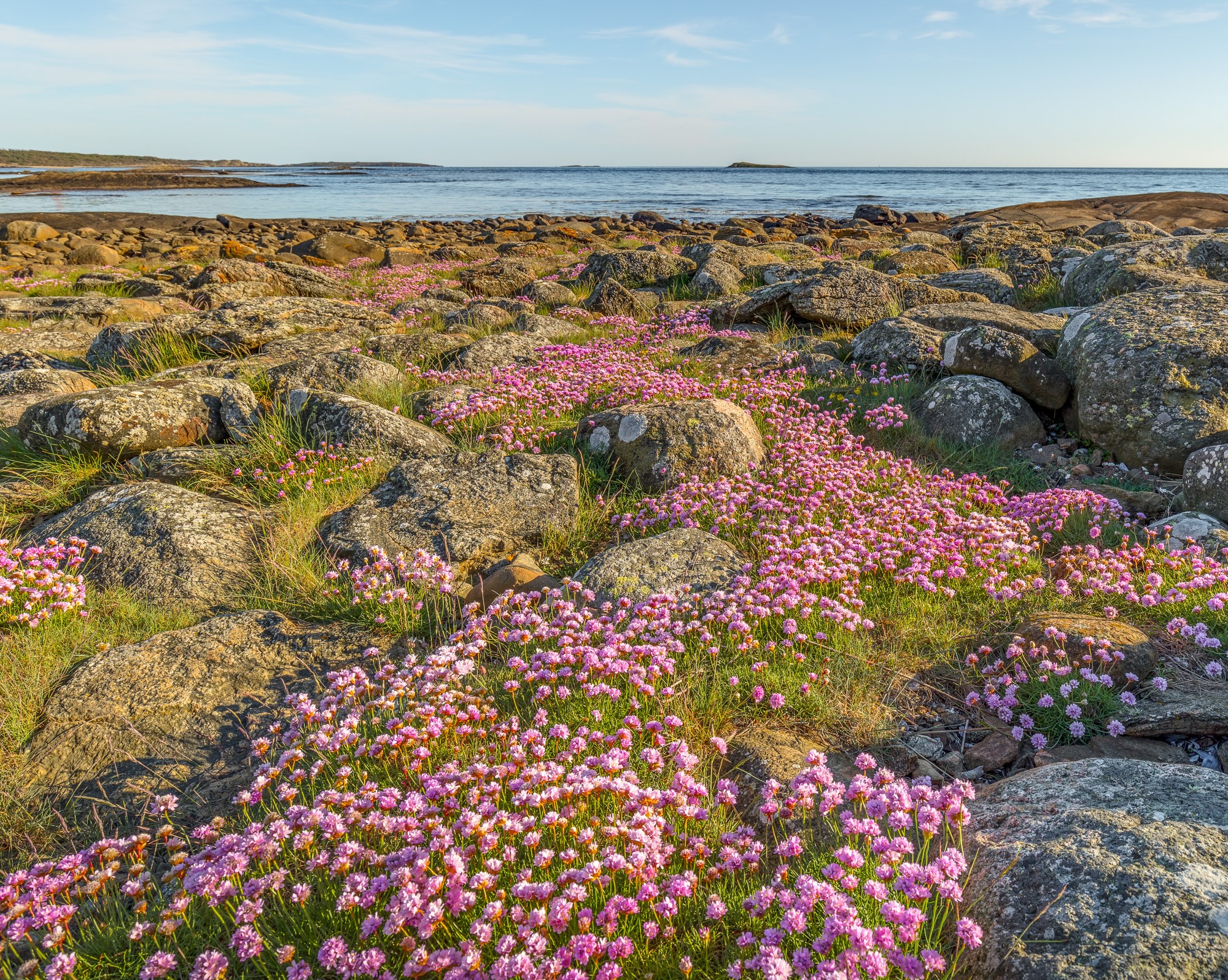 Biskopshagens naturreservat.