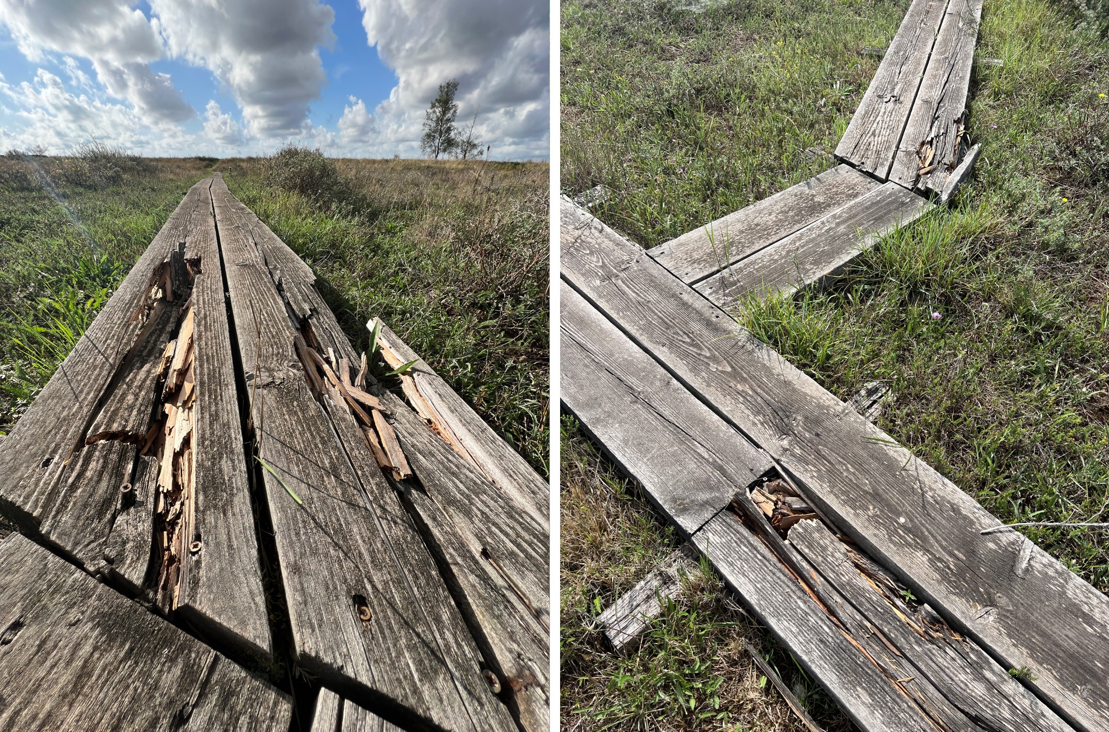 Trasiga spångar – ett allt vanligare inslag i naturen när budgeten stryps.