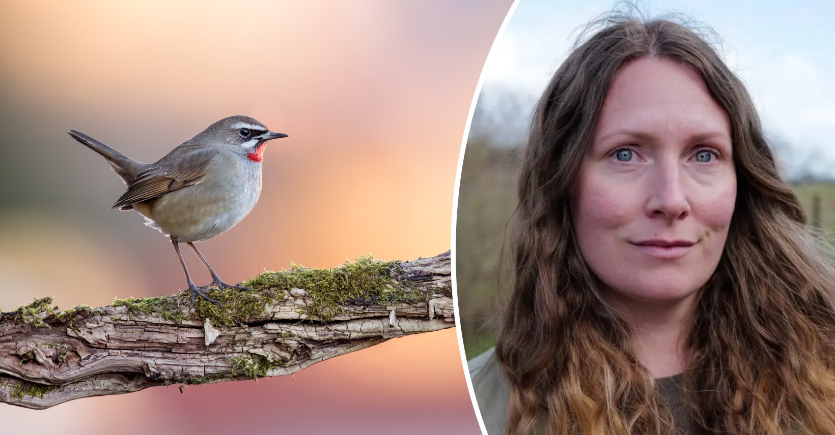 Rubinnäktergal och Stina Andersson.