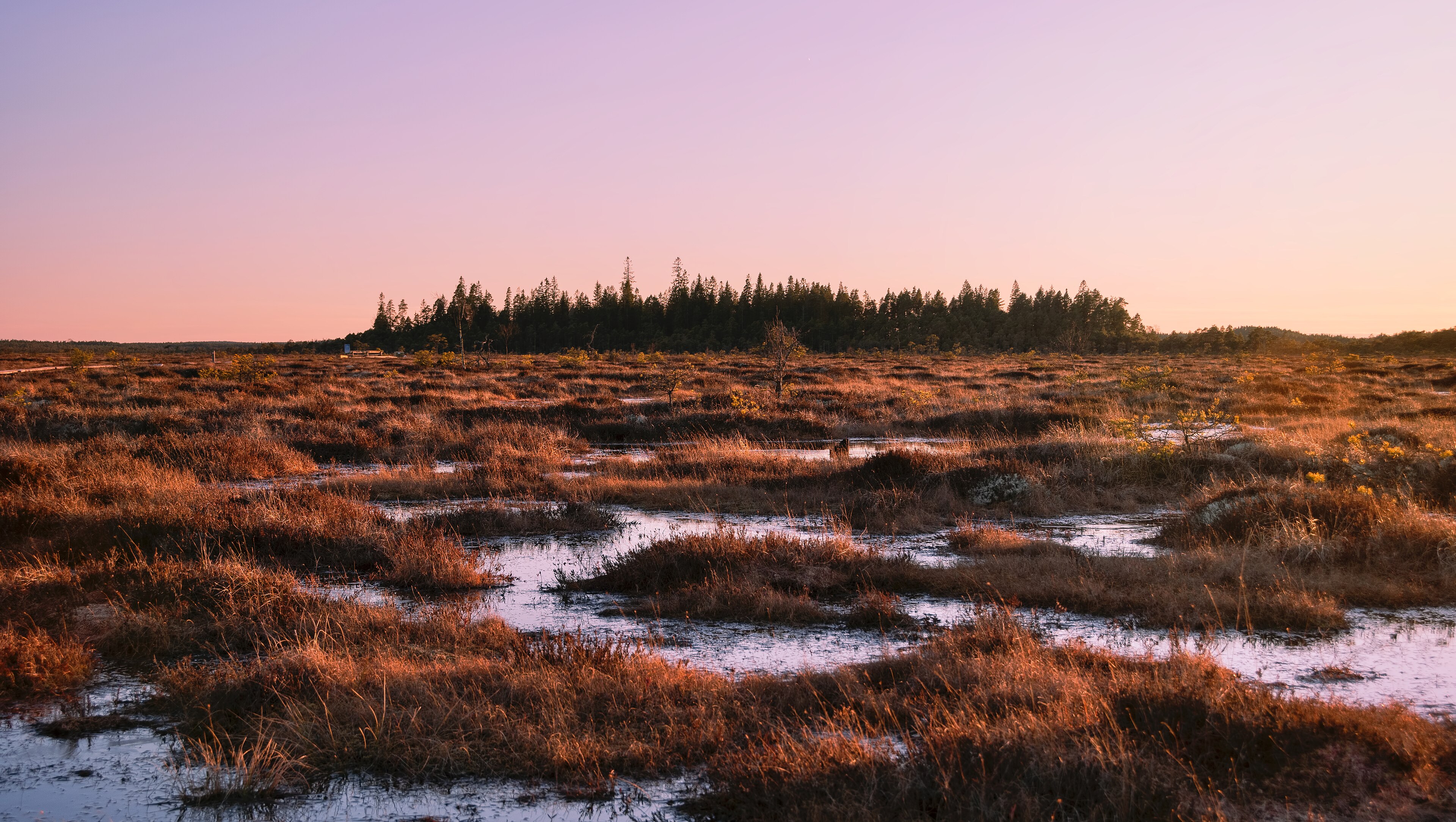 Store mosse nationalpark. Bilden är vinnare i svenska Wiki Loves Earth 2025.