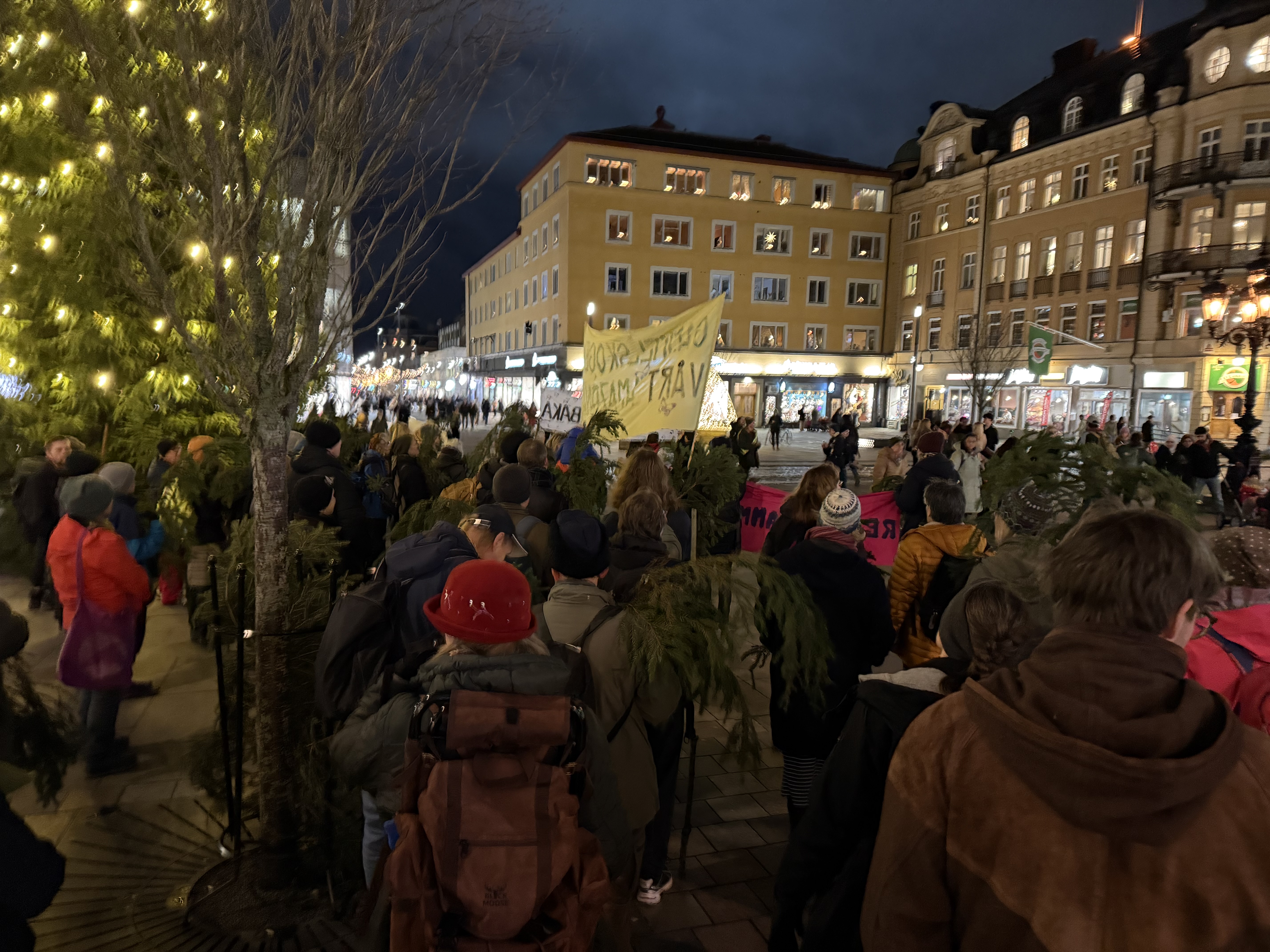 Den förra manifestationen lockade över 100 personer trots att det var mitt i vintern.