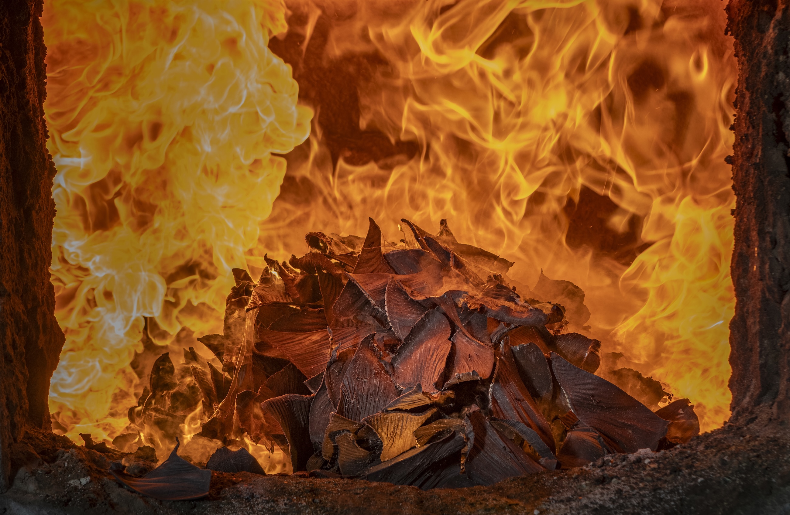 "Born for the ocean, fated to the flames II" – vinnare i Humanity vs Nature-kategorin.