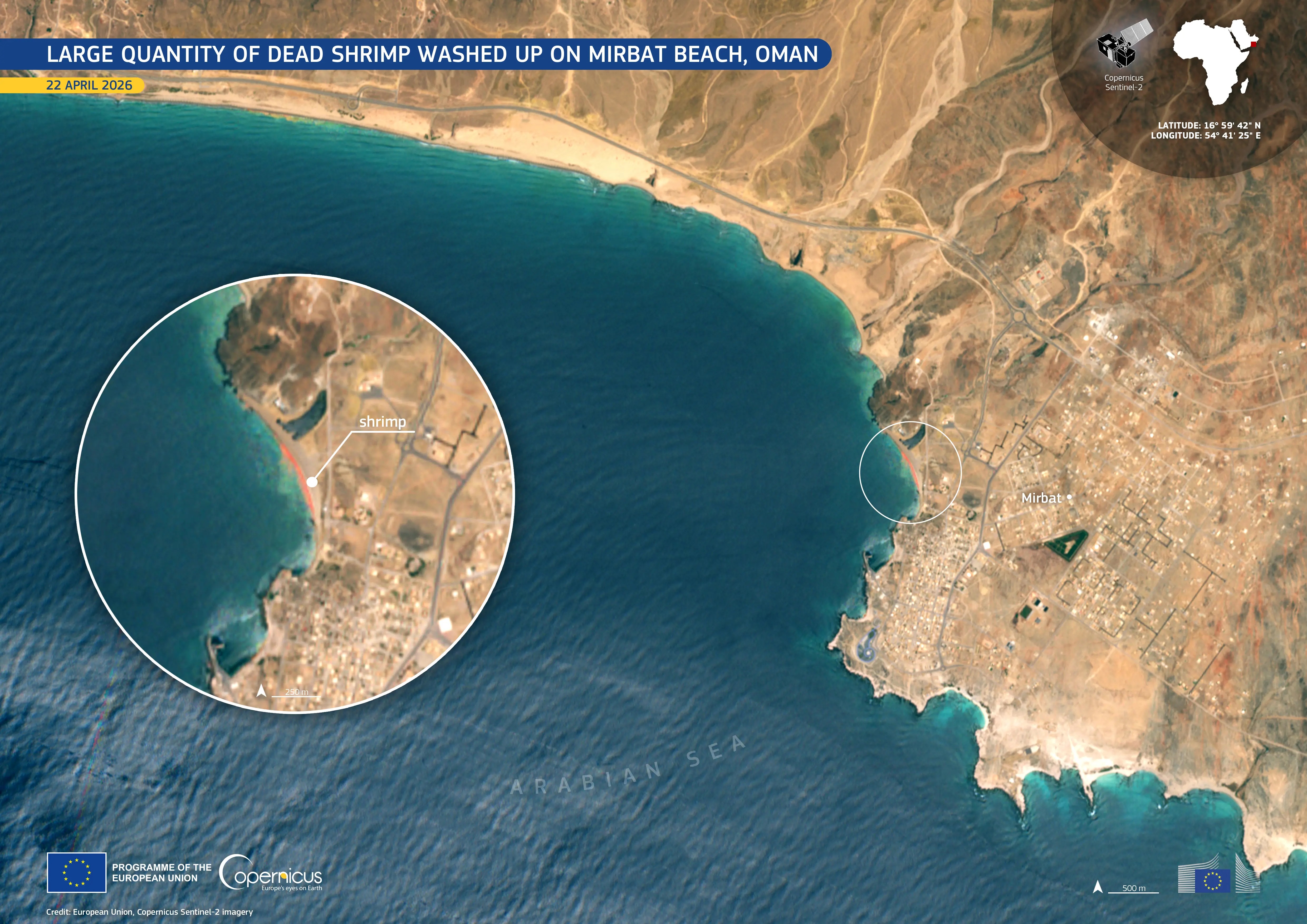 Mirbat Beach, Oman