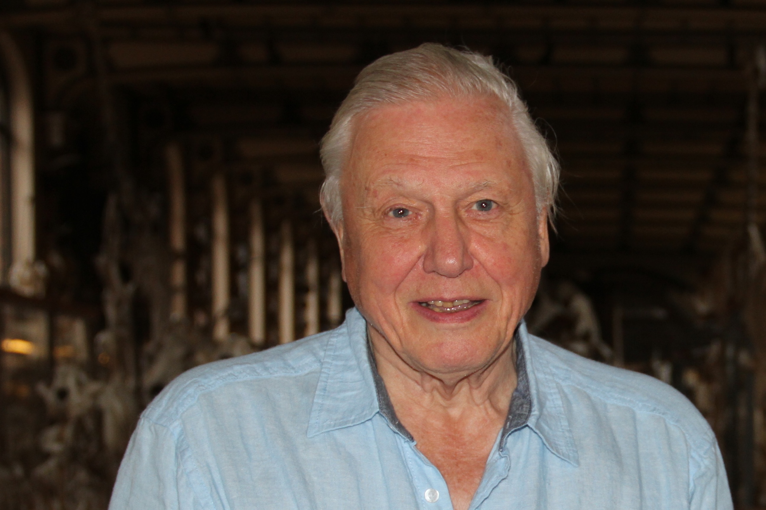 David Attenborough 2014.