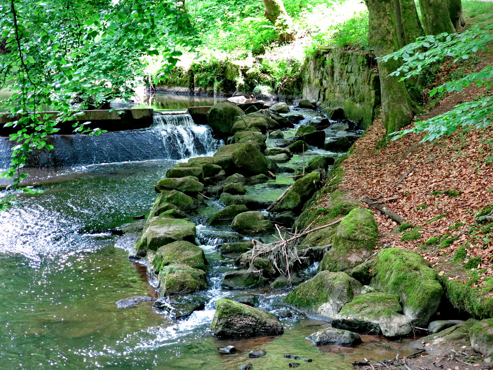 Nyhetsbild