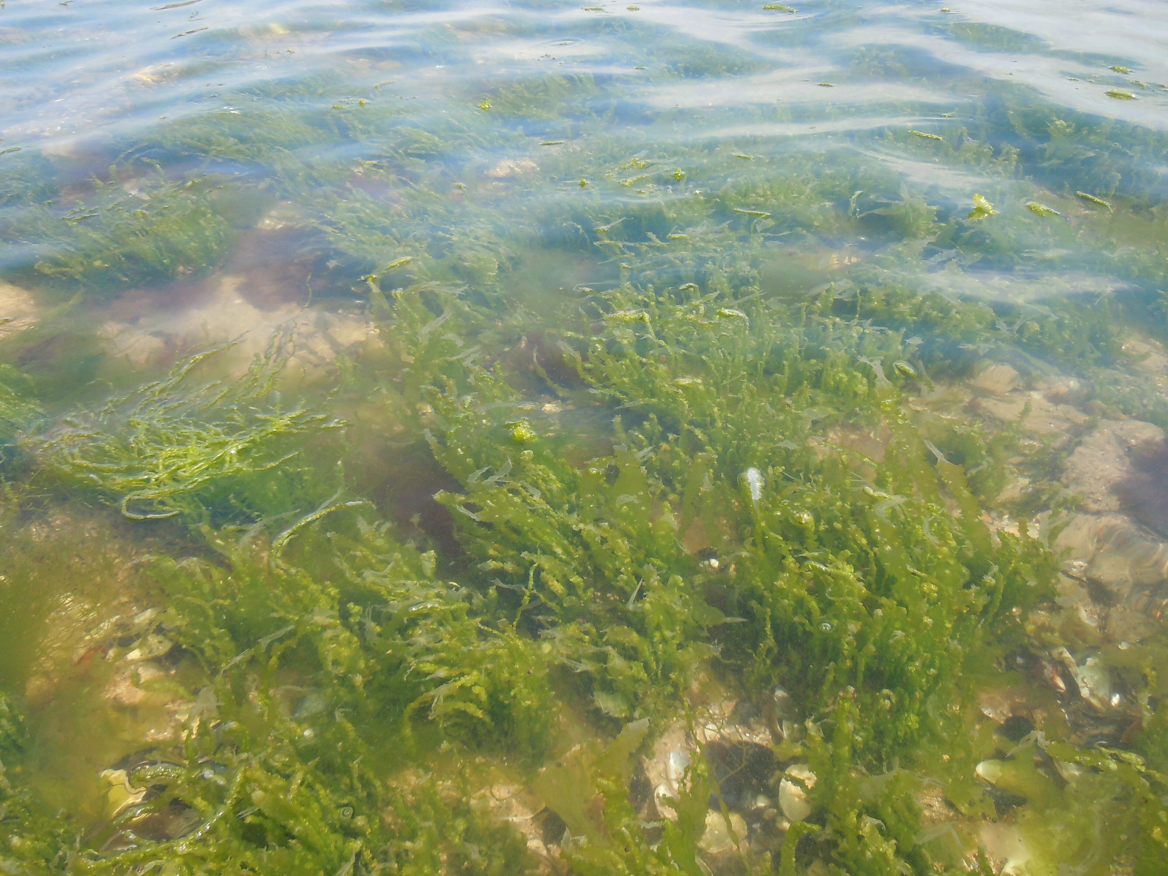 Nyhetsbild