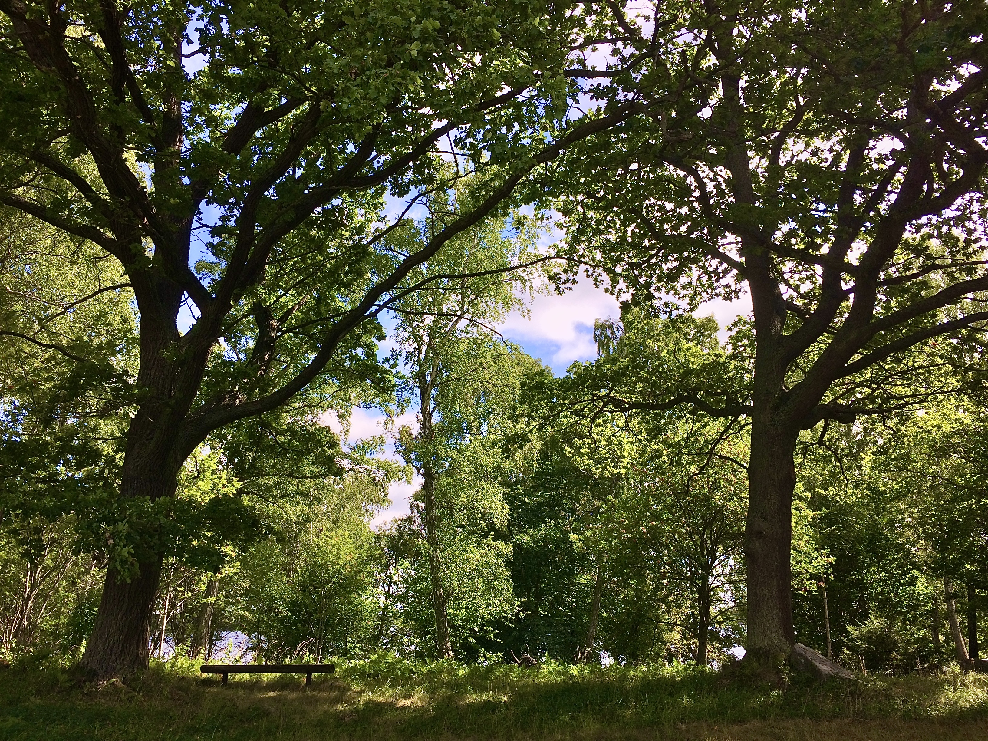 Nyhetsbild