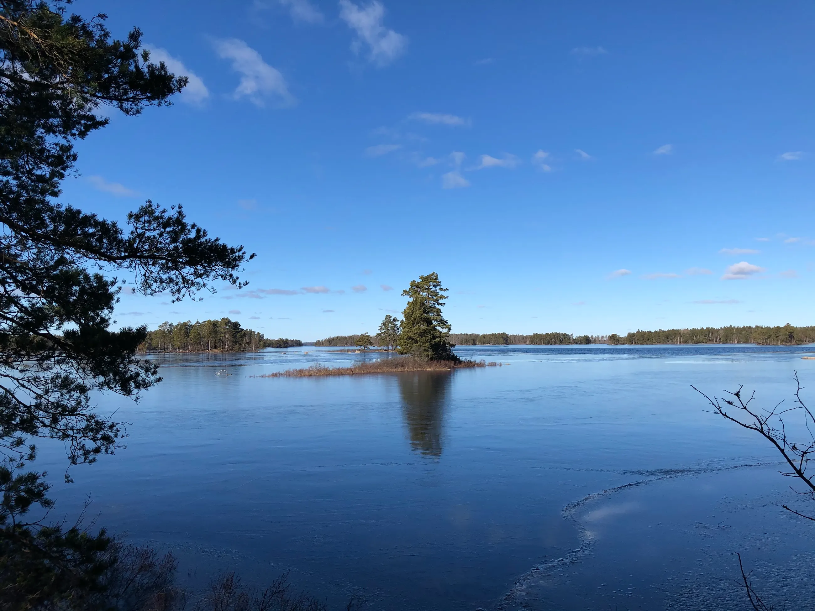 Brett stöd för ny nationalpark i Småland