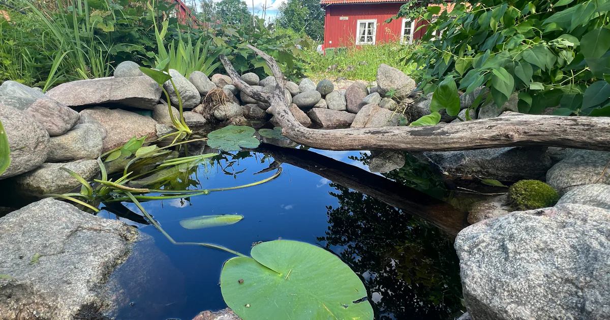 Ödetomten som omvandlades till gemensam odling och samlingsplats