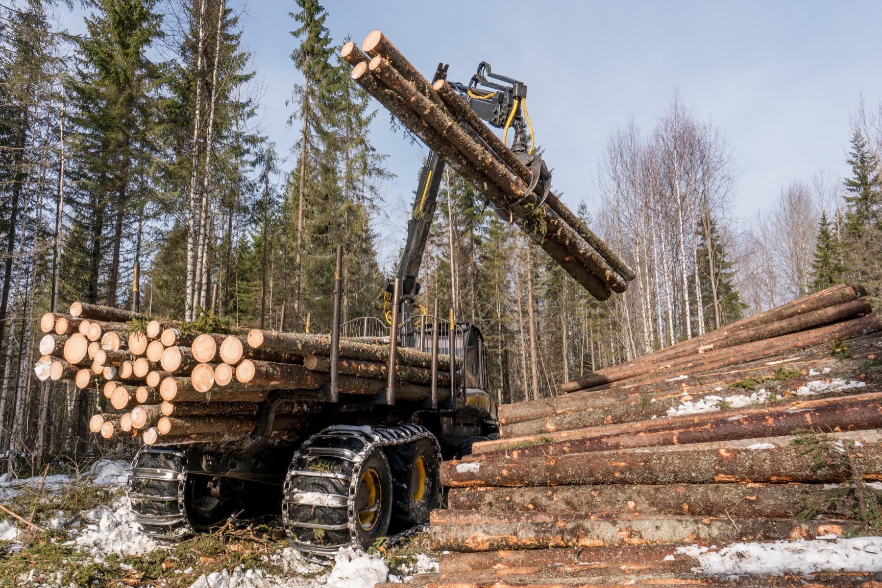 En skogsmaskin lyfter och staplar stockar i ett snötäckt, delvis avverkat skogsområde under avverkning.